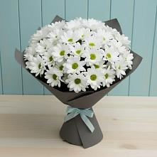 Букет белые хризантемы #REPLACE_PRED# Абинске Букет цветов из:  Хризантемы #REPLACE_PRED# Абинске