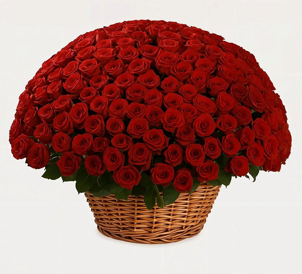 Премиум букет из: Розы в Абинске